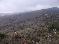 nte Ilice-20110120 031